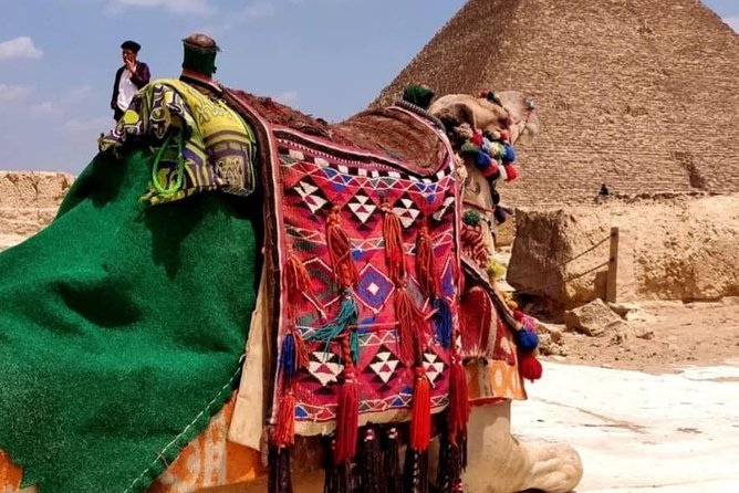 Giza Payrimds,Dahshur Sakkara and Memphis Included Camel Ride. - Reviews and Ratings