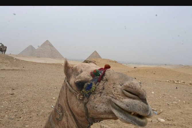 Giza Pyramids All Inclusive Lunch,Entrance Fees,30min Camel Ride - Participation