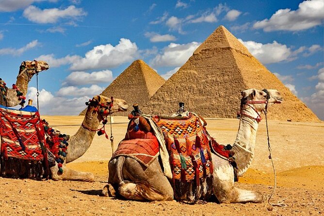 Giza Pyramids Sound and Light Show With Dinner - Customer Feedback