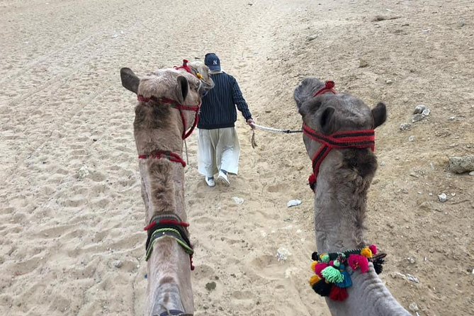 Giza Pyramids Sphinx Camel Ride Lunch With Camera Photographer - Photographer Details