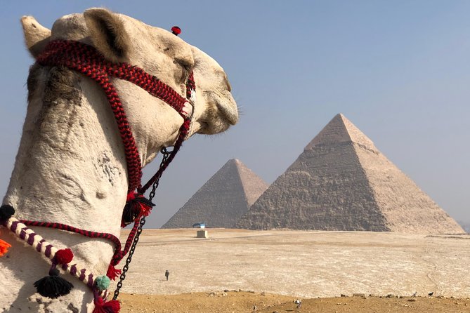 Giza Pyramids, Sphinx & Egyptian Museum Treasures With Private Qualified Guide - Pickup Information