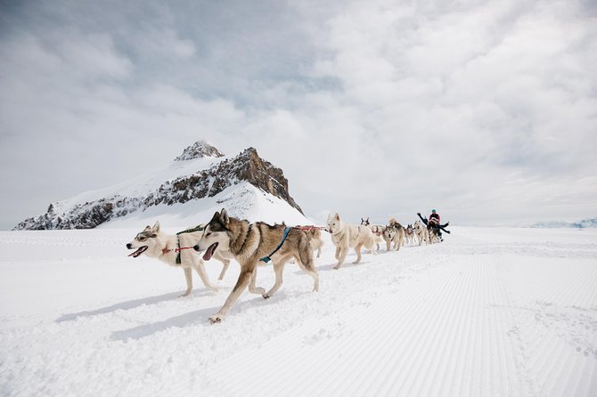 Glacier 3000 Ticket Including Cable Car and Peak Walk by Tissot - Additional Details