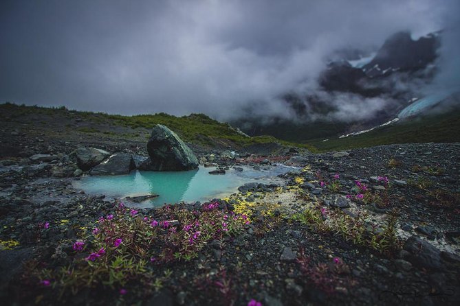 Glacier and Mountain Viewing Tour - Meeting and Pickup