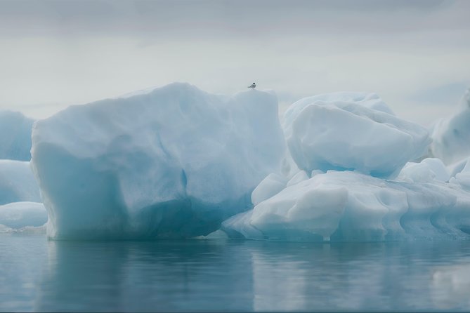 Glacier Lagoon and Diamond Beach Guided Day Trip From Reykjavik - Glacier Lagoon Exploration