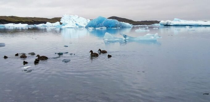 Glacier Lagoon and Diamond Beach Private Tour From Reykjavik - Skógafoss Waterfall