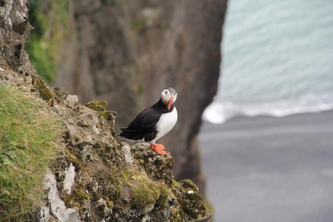 Glacier Lagoon, Diamond Beach, Black Sand Beaches and Waterfalls - Customer Reviews and Recommendations