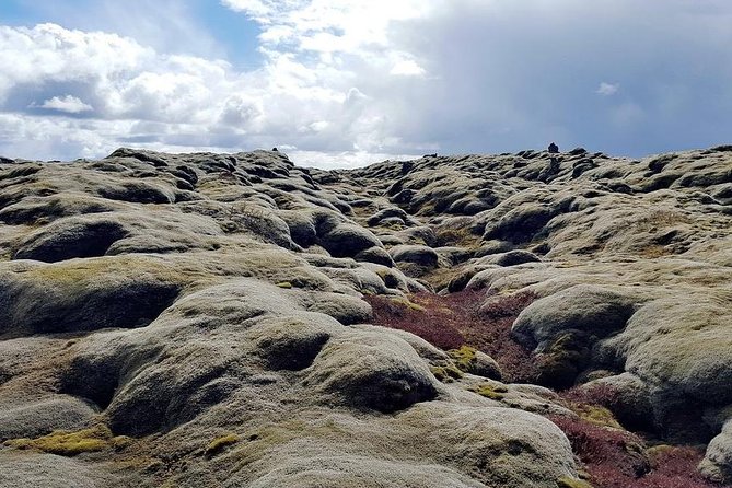 Glacier Lagoon & South Coast. Private Day Tour - Scenic Stops and Photography