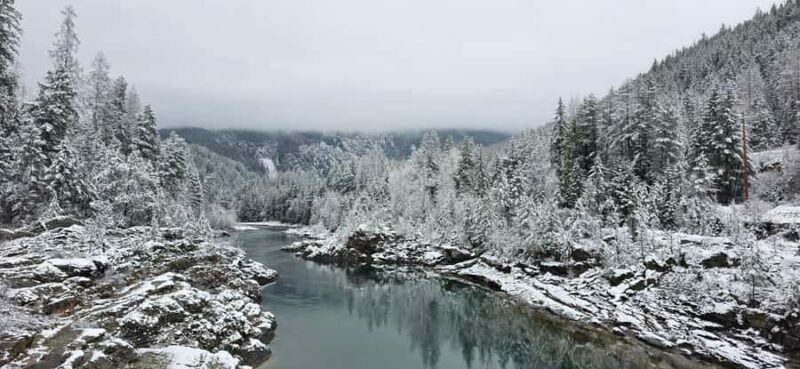 Glacier National Park: Guided Snowshoe Trek - Why You Should Consider This Snowshoe Tour