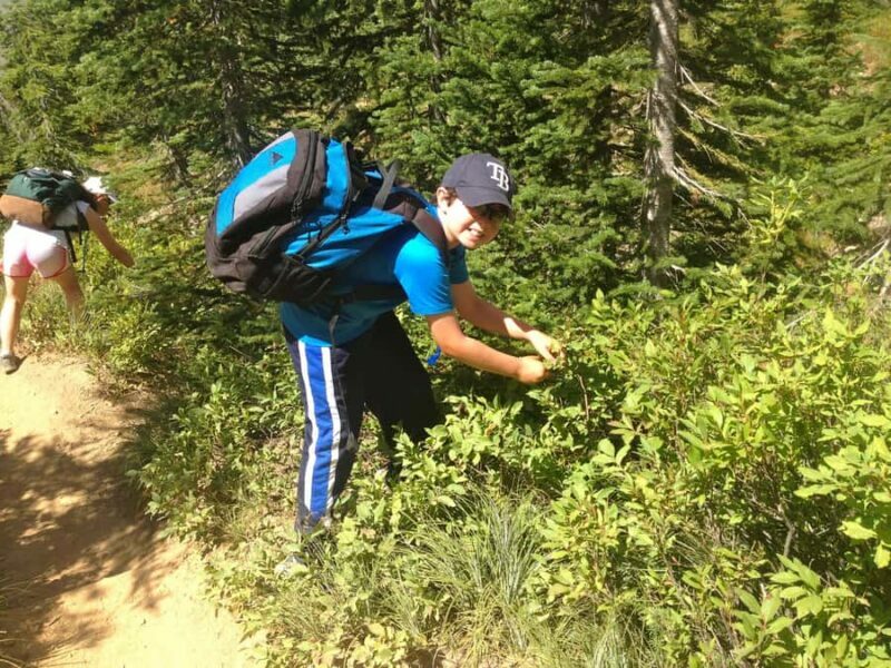 Glacier National Park: Morning Nature Walk - Who Will Love This Tour?