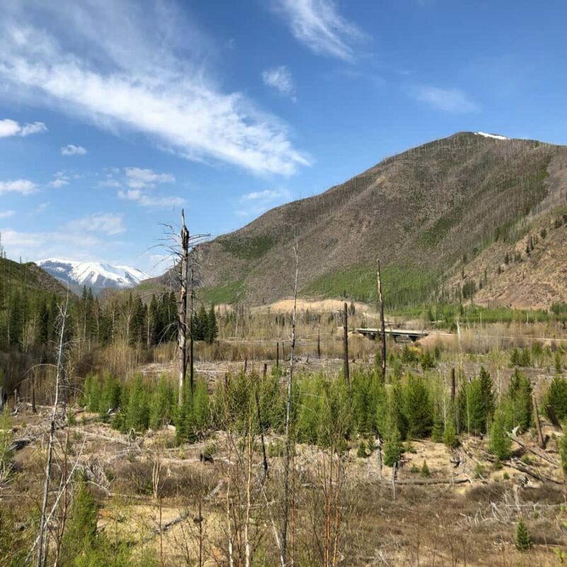 Glacier National Park: Morning Nature Walk - FAQ