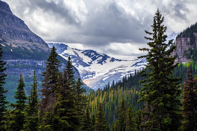 Glacier National Park Self-Guided Driving Audio Tour - Nearby Public Transportation