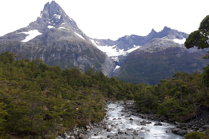 Glacier Navigation Mayo Spirit Trek 3 Landings and Walk Through the Forest - Patagonian Andean Forest Trekking