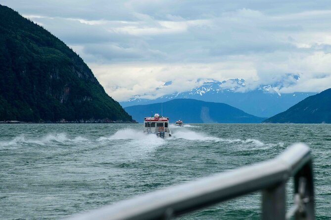 Glacier Point Wilderness Safari - Relaxing Boat Ride and Wildlife Sightings