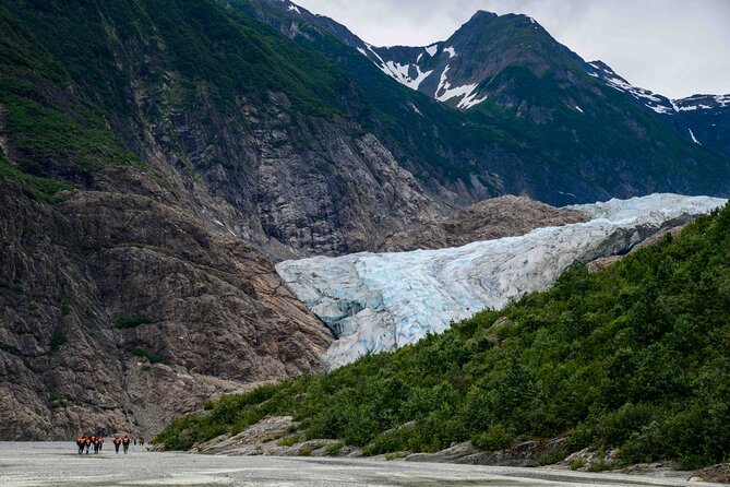 Glacier Point Wilderness Safari - Suitable for First-Time Visitors