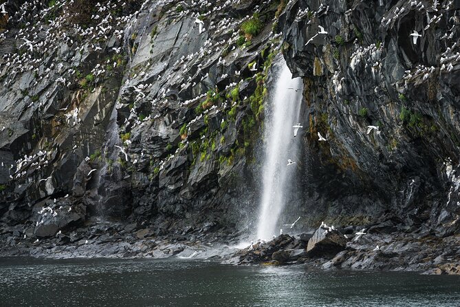 Glacier Quest Cruise - Self-Drive From Anchorage, AK - Cruise Booking and Cancellation