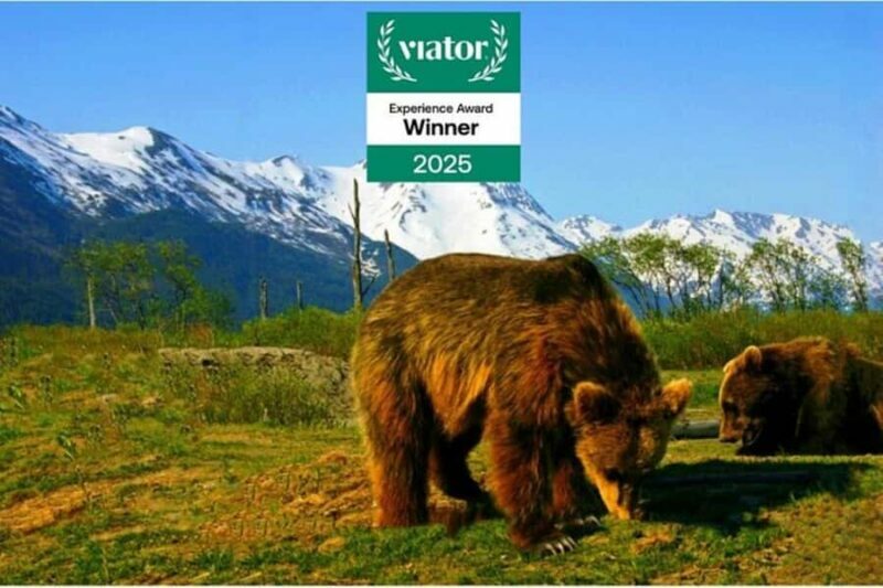 Glacier View & Wildlife Anchorage Adventure Tour - Key Points