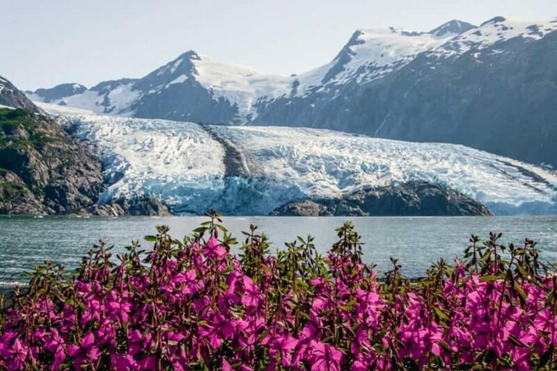 Glacier View & Wildlife Anchorage Adventure Tour - FAQ