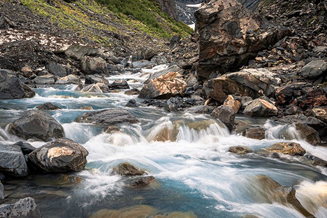 Glacier View & Wildlife Anchorage Adventure Tour - Memorable Adventure Highlights