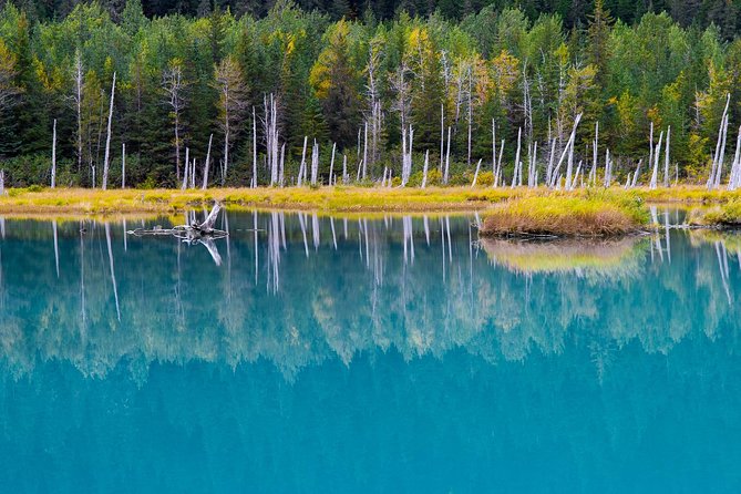 Glacier & Wildlife Discovery Tour - Inclusions in the Tour