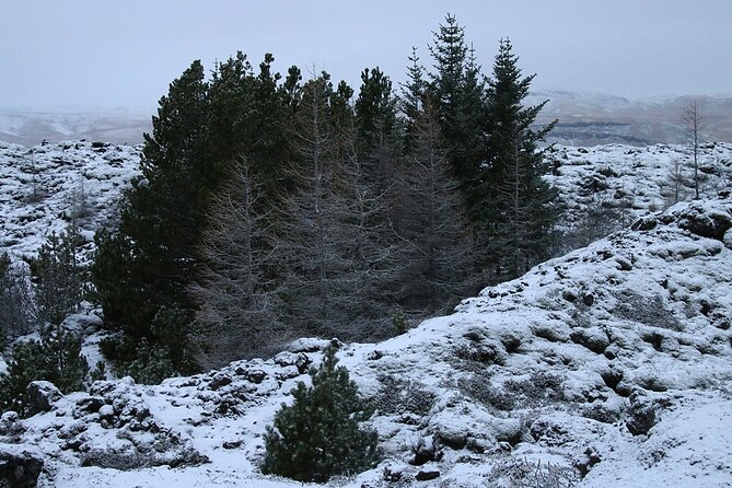 Glaciers and Aurora: Around Iceland in Winter - Departing Iceland With Memories