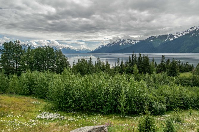 Glaciers and Wildlife: Super Scenic Day Tour From Anchorage - Inclusions and Exclusions