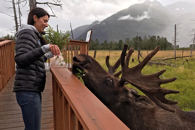 Glaciers and Wildlife: Super Scenic Day Tour From Anchorage - Additional Tour Information
