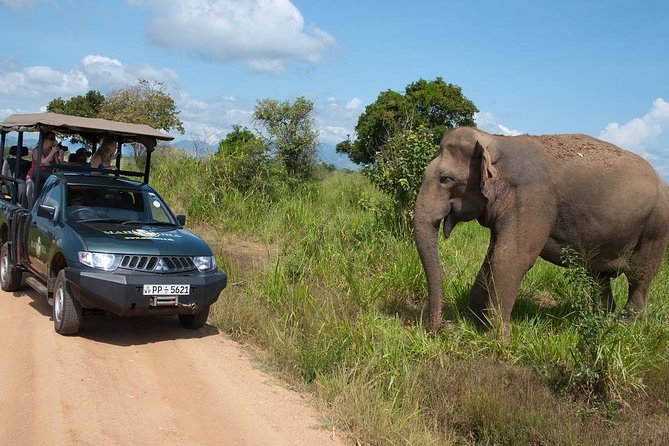 Glamping Safari Bordering Udawalawe National Park - Wildlife and Attractions