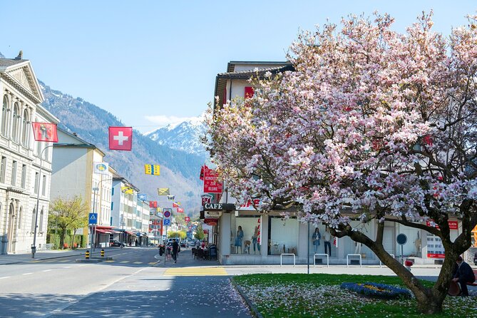 Glarus Foxtrail Clarona - Accessibility and Requirements
