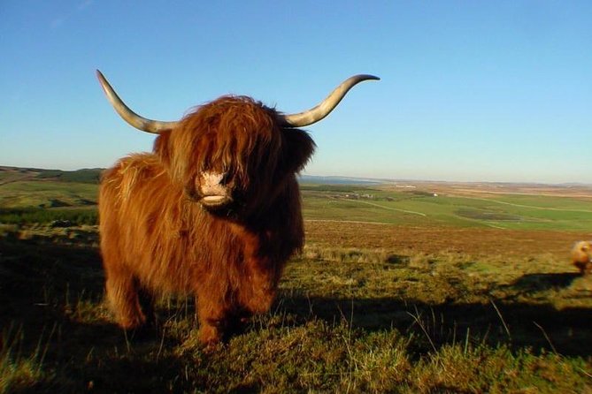 Glasgow, Loch Lomond National Park - Key Attractions