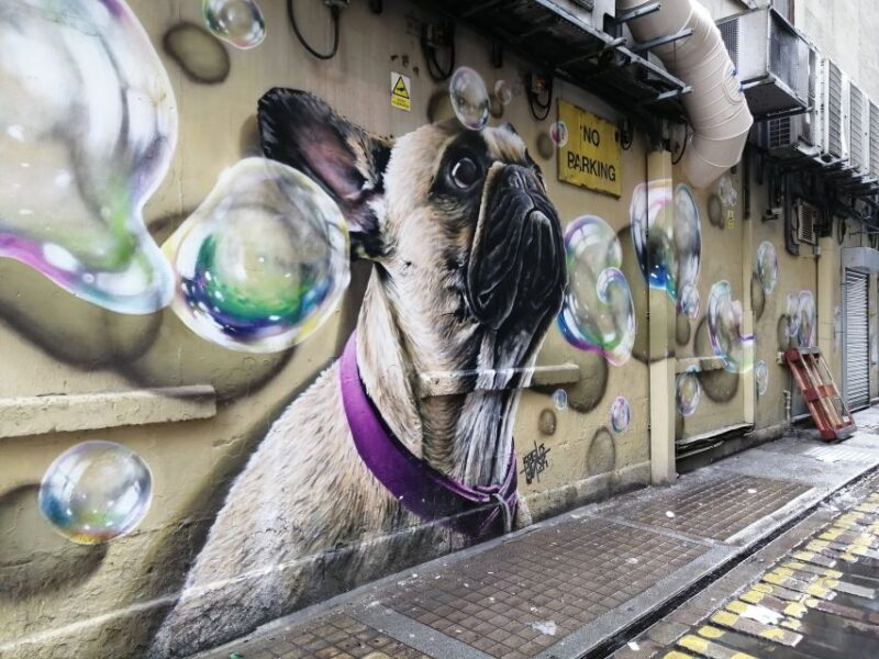 Glasgow: Street Art Guided Walking Tour - Customer Feedback