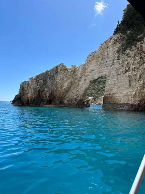 Glass Boat Cruises to Spot Turtles - Key Points