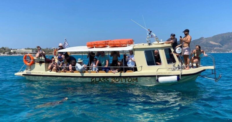 Glass Boat Cruises to Spot Turtles - Itinerary and Experience