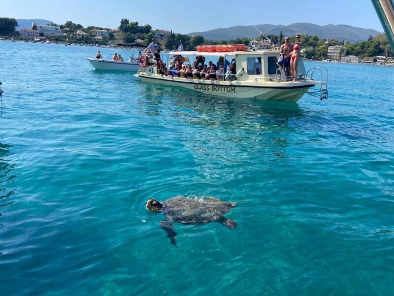 Glass Boat Cruises to Spot Turtles - Vessel Features
