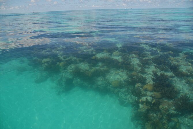 Glass Bottom Boat and Snorkeling Combo in Bermuda - Crew and Capacity
