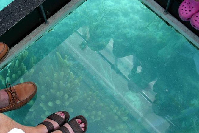 Glass Bottom Boat and Snorkeling Combo in Bermuda - Reviews and Ratings