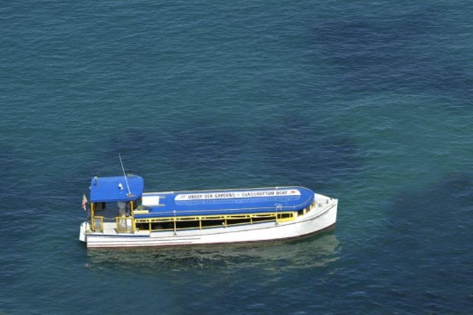 Glass Bottom Boat: Catalina Island Tour - Tour Duration and Group Size