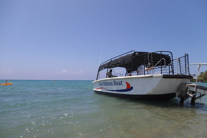 Glass-Bottom Boat Cruise From Waikoloa - Marine Life Observation