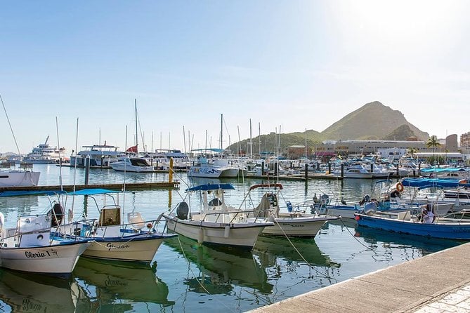 Glass-Bottom Boat Cruise in Cabo San Lucas - Tour Details