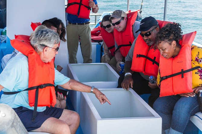 Glass-Bottom Boat Ride and Snorkel Tour in Cabo San Lucas - Activity Details