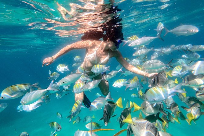 Glass-Bottom Boat Ride and Snorkel Tour in Cabo San Lucas - Reviews