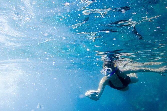 Glass-Bottom Boat Ride and Snorkel Tour in Cabo San Lucas - Upgrade Options