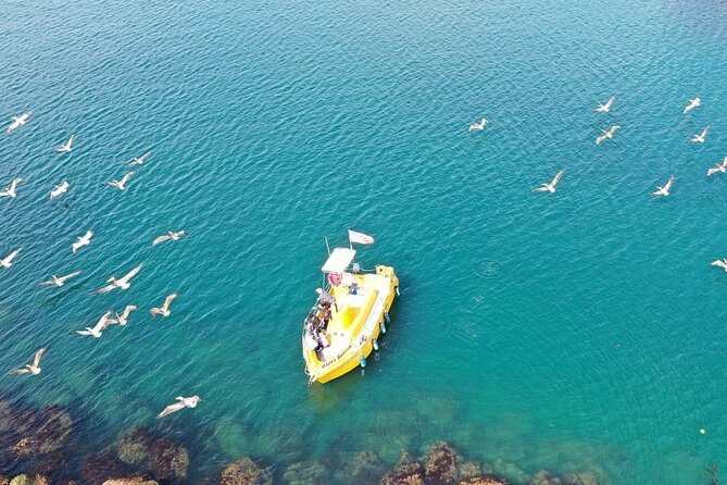 Glass Bottom Boat Ride in Redondo Beach - What to Expect