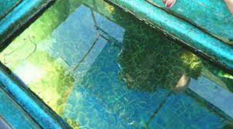 Glass Bottom Boat Ride in Trincomalee - Location and Accessibility