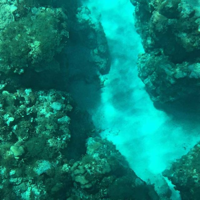 Glass Bottom Boat Ride in Trincomalee - Booking Information