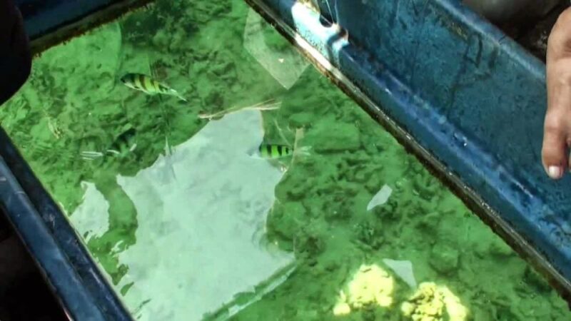 Glass Bottom Boat Ride in Trincomalee - Frequently Asked Questions