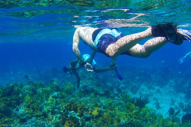 Glass Bottom Boat Ride/Snorkeling/Booby Cay Island from Negril - Introduction
