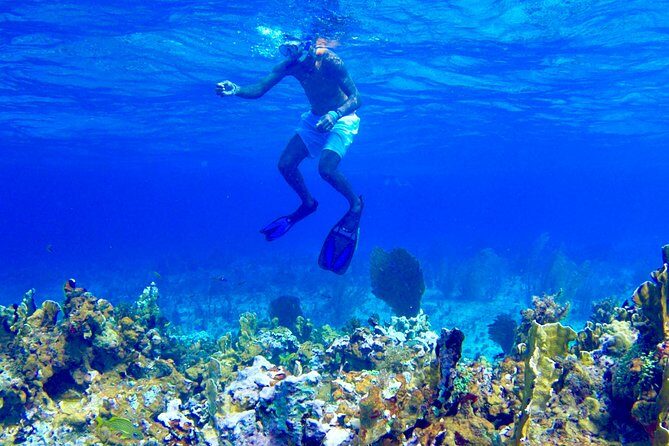 Glass Bottom Boat Ride/Snorkeling/Booby Cay Island from Negril - What the Reviews Say