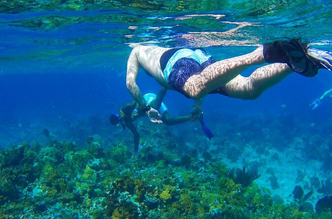 Glass Bottom Boat Ride/Snorkeling/Booby Cay Island from Negril - The Sum Up