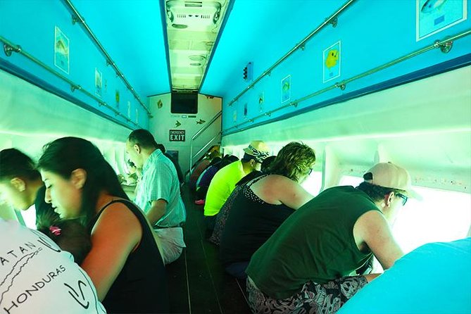 Glass Bottom Boat, Sloth, Monkey Park, Chocolate Factory & West Bay Beach - Itinerary Highlights