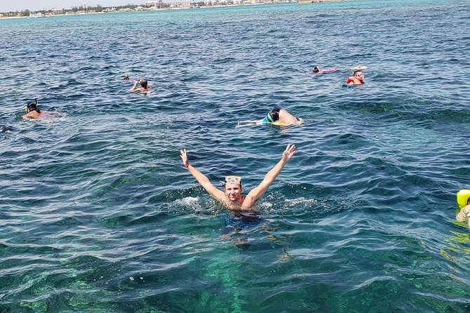 Glass Bottom Boat & Snorkelling Tour Bundle - Seeking Dolphins and Sea Turtles